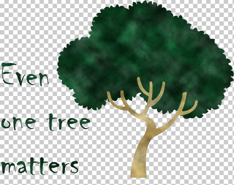 קרן עצי פרי ארבר יום