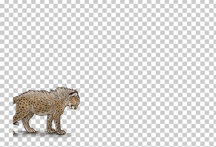 Cat Lion Mammal Kitten Boerboel PNG, Clipart, Acinonyx Jubatus Soemmeringii, Animal, Animal Figure, Animals, Big Cat Free PNG Download