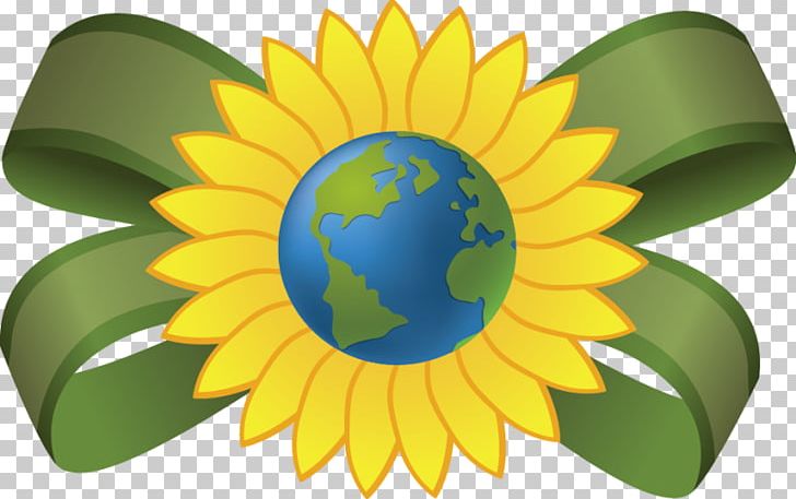 Common Sunflower Paper PNG, Clipart, Art, Circle, Common Sunflower, Computer Wallpaper, Daisy Family Free PNG Download