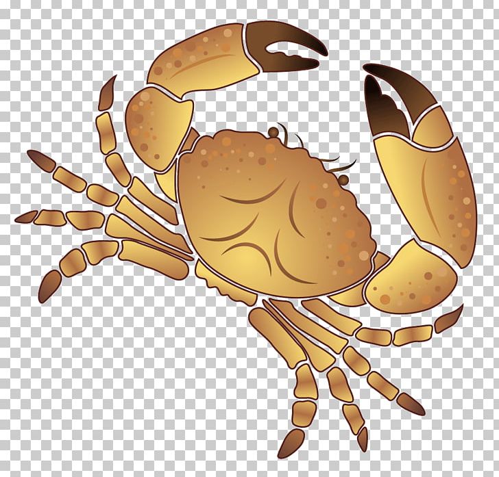 Crab Coconut PNG, Clipart, Animals, Animal Source Foods, Animation, Arecaceae, Arthropod Free PNG Download