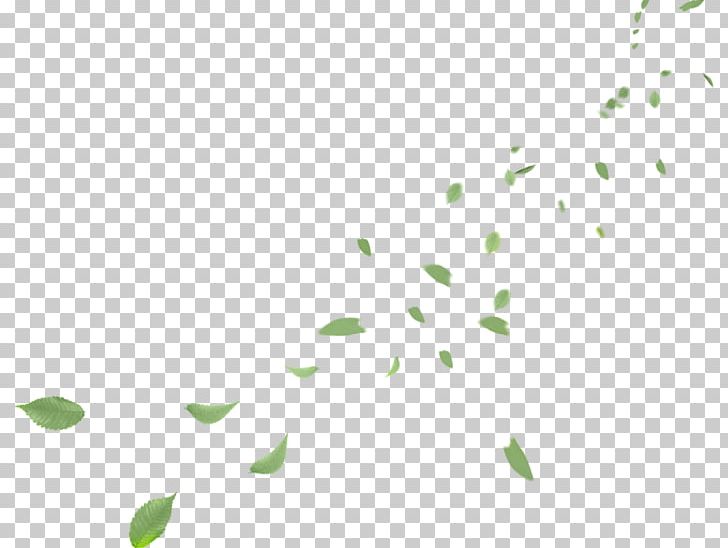 Leaf Petal PNG, Clipart, Avatan, Avatan Plus, Branch, Computer Wallpaper, Desktop Wallpaper Free PNG Download