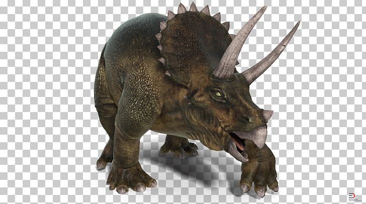 Triceratops Protoceratops Dinosaur PNG, Clipart, 3 D, 3 D Model, 3d Computer Graphics, Animal, Animation Free PNG Download