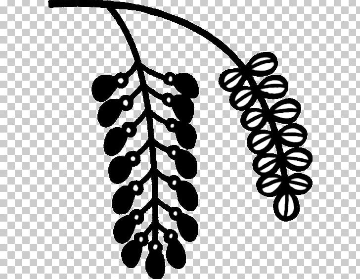Grape Line White PNG, Clipart, Black And White, Branch, Flowering Plant, Food, Fruit Free PNG Download