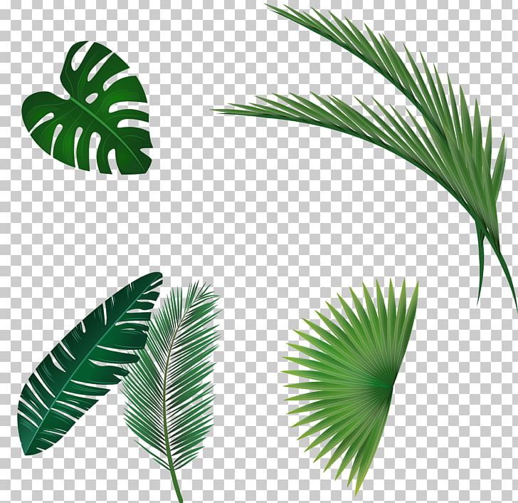 Leaf Watercolor Painting PNG, Clipart, Arecaceae, Arecales, Artworks, Autumn Leaves, Banana Leaves Free PNG Download