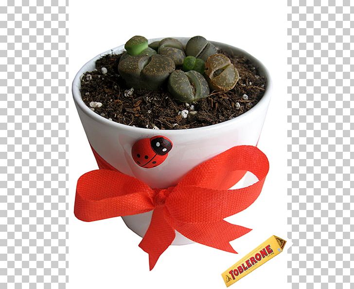 Superfood Flowerpot PNG, Clipart, Flowerpot, Others, Seramik, Superfood Free PNG Download