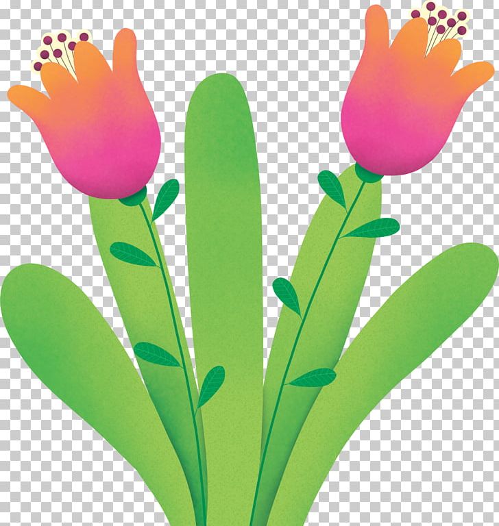 Tulip Child Color Pink Petal PNG, Clipart, Child, Color, Early Childhood Education, Flower, Flowering Plant Free PNG Download