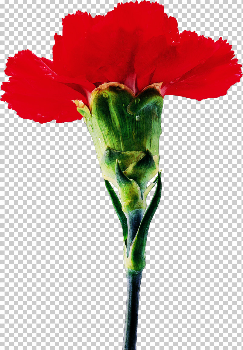 Artificial Flower PNG, Clipart, Artificial Flower, Carnation, Cut Flowers, Dianthus, Flower Free PNG Download