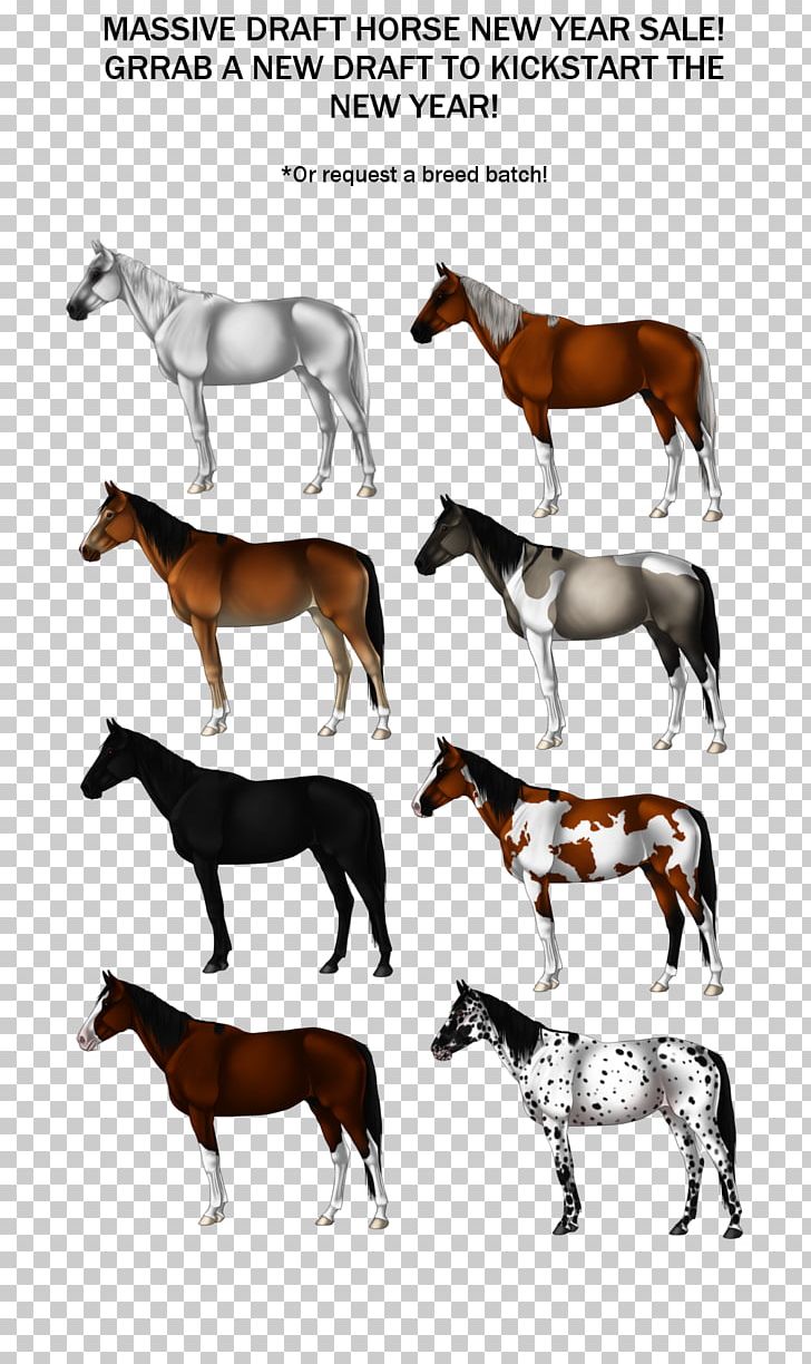 Cette Nuit Mustang Sodis Book Foal PNG, Clipart, Book, Bridle, Colt, Description, Foal Free PNG Download