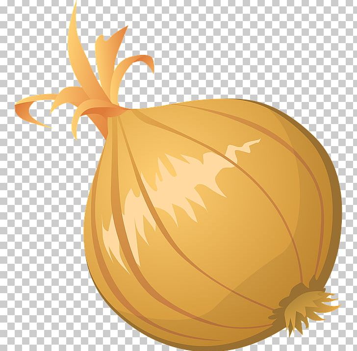 Onion Free Content PNG, Clipart, Calabaza, Commodity, Cucurbita, Flowering Plant, Food Free PNG Download