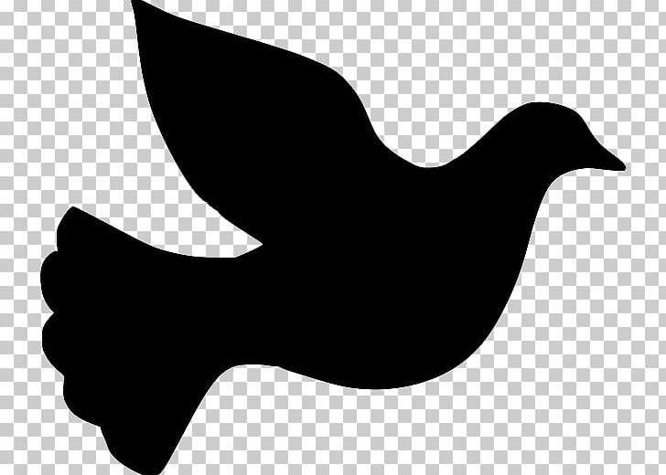 Columbidae Silhouette Doves As Symbols PNG, Clipart, Animals, Beak, Bird, Black And White, Clip Art Free PNG Download