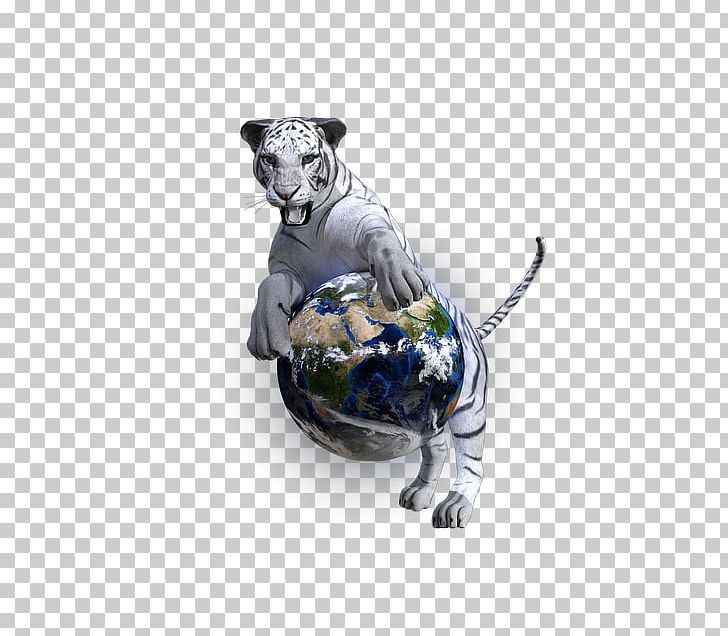 Felidae Wildcat Dalmatian Dog Bengal Tiger PNG, Clipart, Animals, Bengal Tiger, Carnivoran, Carnivores, Cat Free PNG Download