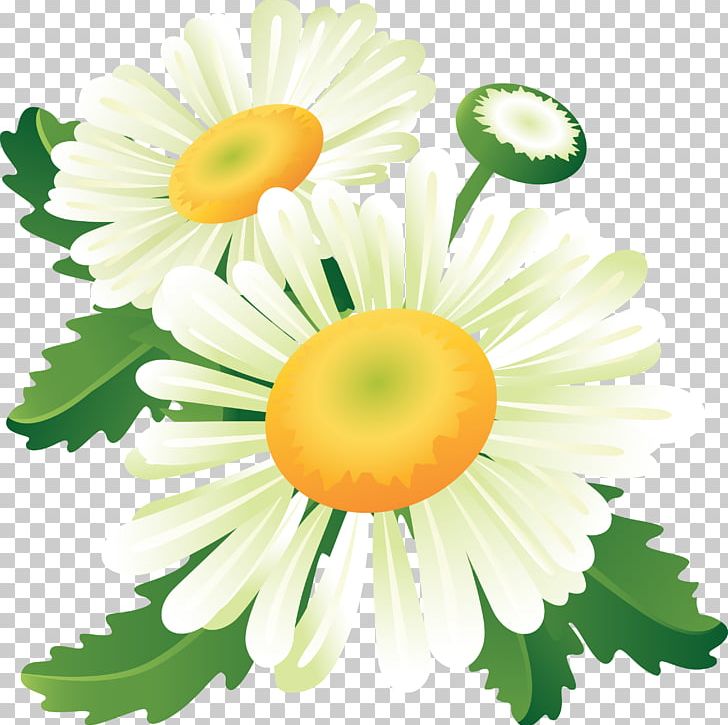 Flower Paper PNG, Clipart, Banner, Chamaemelum Nobile, Chamomile, Chrysanths, Cut Flowers Free PNG Download