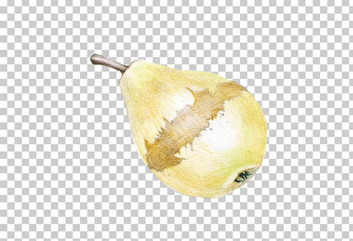 Fruit Pyrus Xd7 Bretschneideri Dangshan County European Pear PNG, Clipart, Auglis, Child, Color, Dangshan, Download Free PNG Download