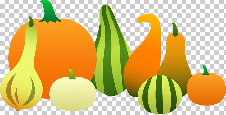 Gourd Pumpkin Vegetable PNG, Clipart, Art, Autumn, Calabash, Calabaza, Commodity Free PNG Download