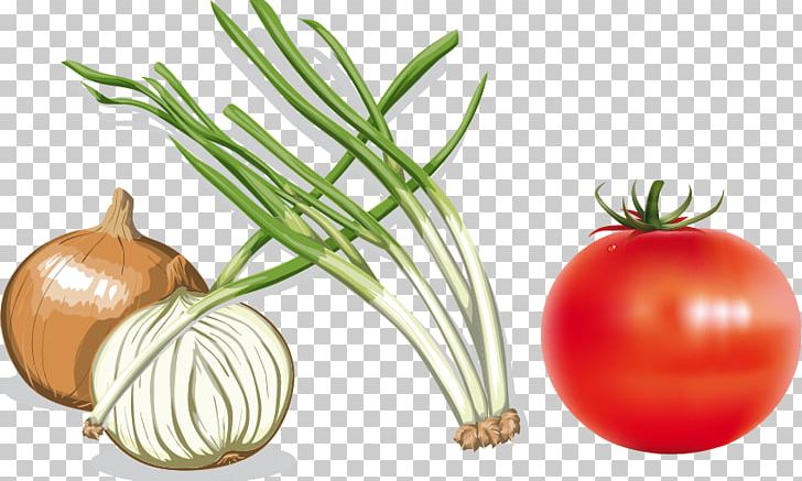 Onion Vecteur Computer File PNG, Clipart, Allium Fistulosum, Diet Food, Food, Fruit, Happy Birthday Vector Images Free PNG Download