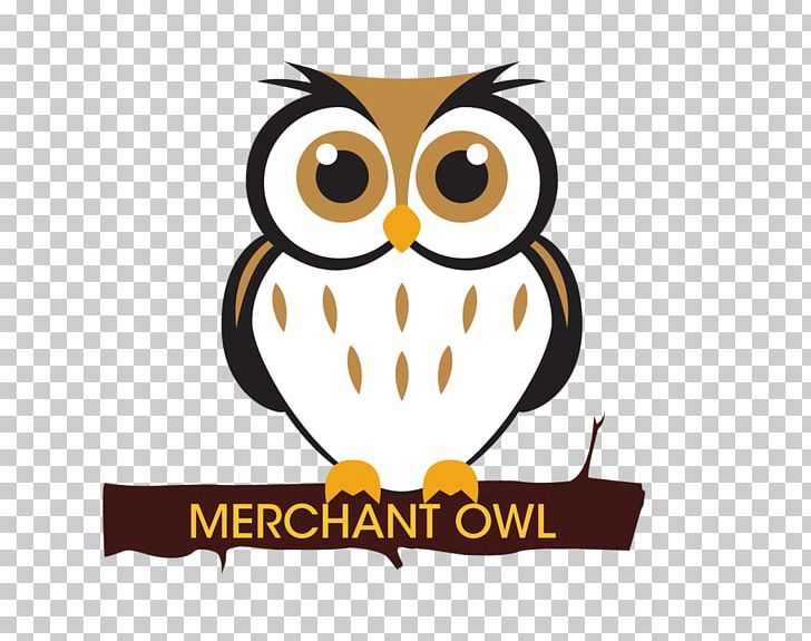 Owl Drawing Giant Panda PNG, Clipart, Animals, Beak, Bird, Bird Of Prey, Brand Free PNG Download