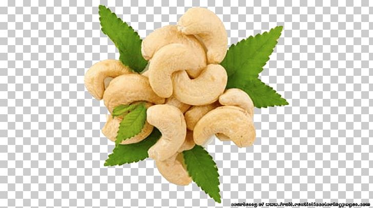Roasted Cashews Tree Nut Allergy Food PNG, Clipart, Almond, Biscuits, Cashew, Cashews, Food Free PNG Download