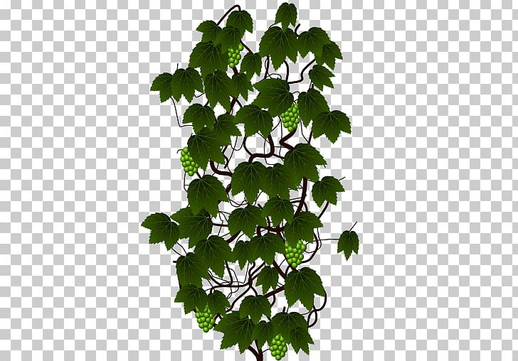 Sprite Scrolling Plant Ivy PNG, Clipart, 2d Computer Graphics, Branch, Flower, Flowering Plant, Food Drinks Free PNG Download