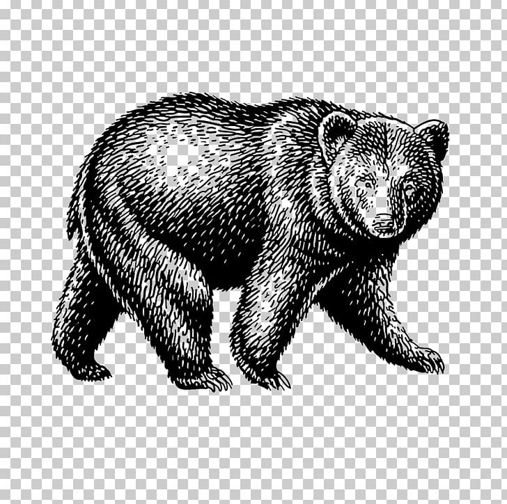 The Bear American Black Bear 熊 PNG, Clipart, American Black Bear, Animals, Art, Bear, Bentley Free PNG Download