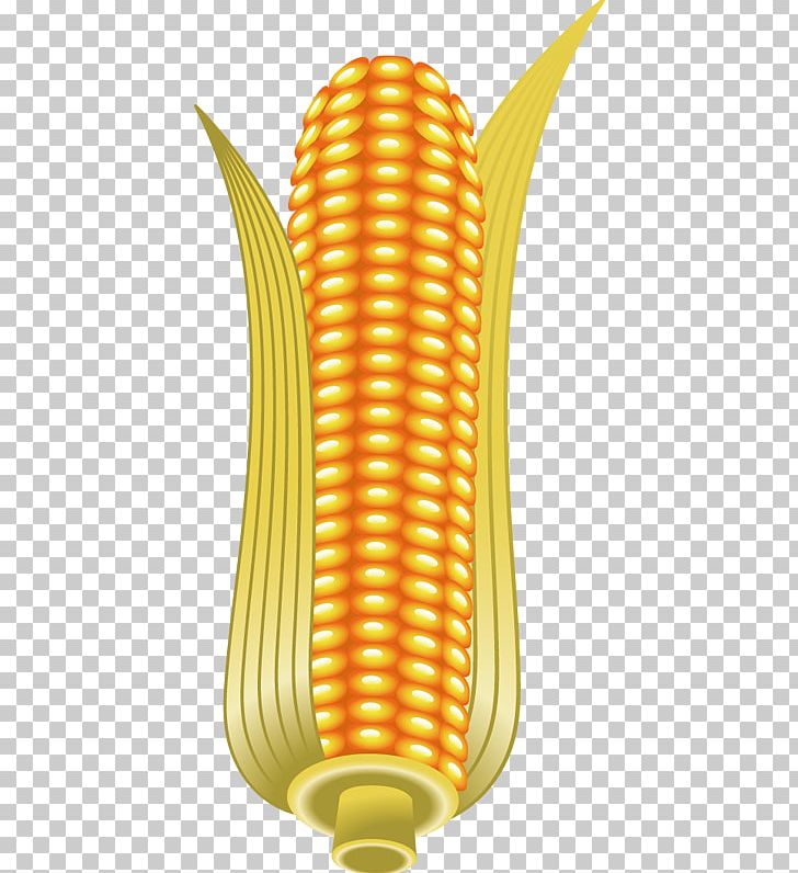 Corn On The Cob Maize PNG, Clipart, Abstract Pattern, Adobe Illustrator, Corn, Corn On The Cob, Corn Vector Free PNG Download