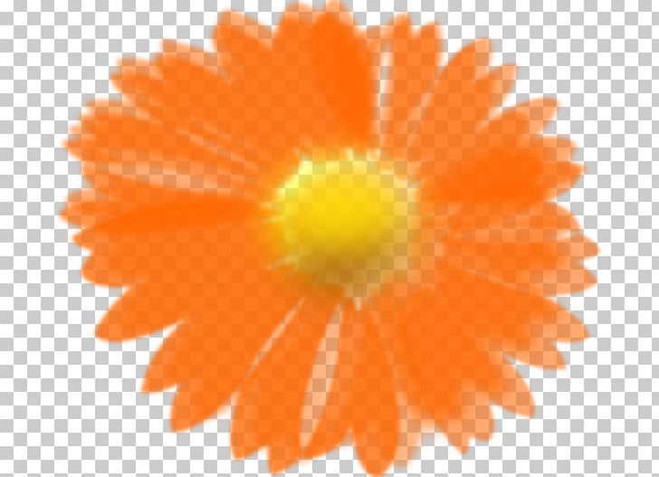 Flower Orange PNG, Clipart, Calendula, Color, Computer Icons, Daisy Family, Flower Free PNG Download