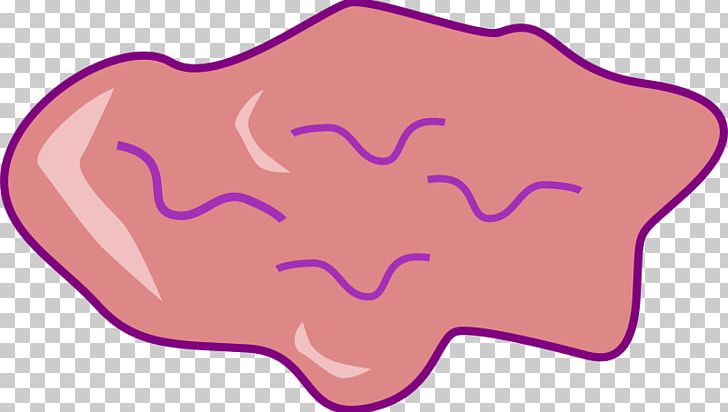 Organism Pink M Line PNG, Clipart, Area, Art, Chew, Chewing Gum, Gum Free PNG Download