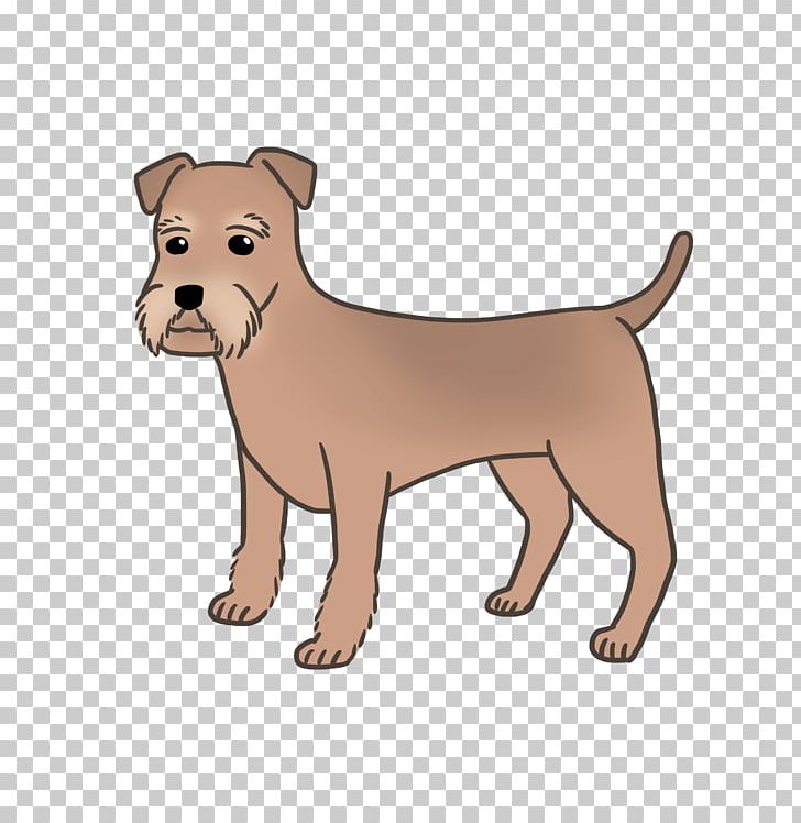 Dog Breed Irish Terrier American Pit Bull Terrier Rare Breed (dog) PNG, Clipart, American Bully, American Pit Bull Terrier, Animals, Breed, Bull Terrier Free PNG Download