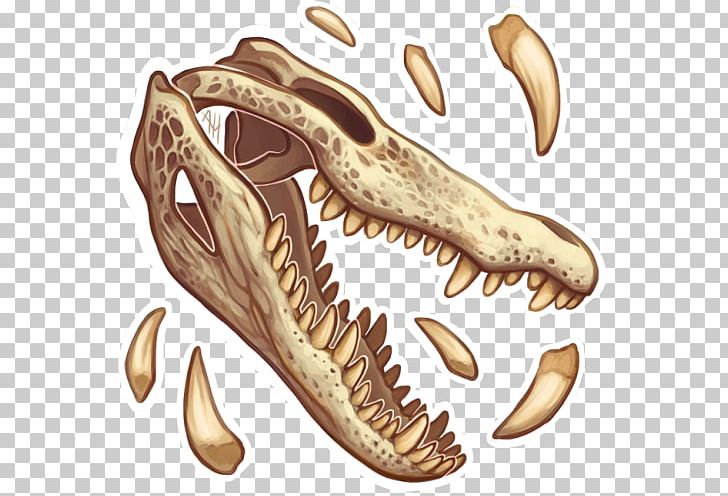 Fish Jaw Food Cat Reptile PNG, Clipart, Animal, Cat, Claw, Fish, Food Free PNG Download