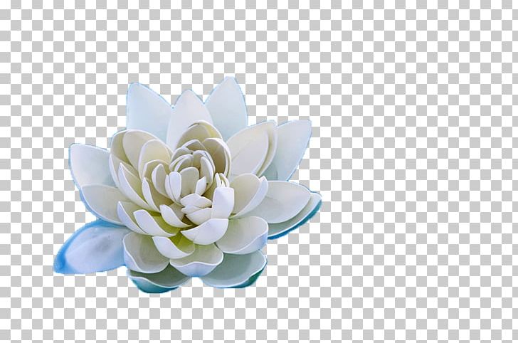 Floral Design Cut Flowers Rosaceae Petal PNG, Clipart, Computer, Computer Wallpaper, Cut Flowers, Decorative, Decorative Material Free PNG Download