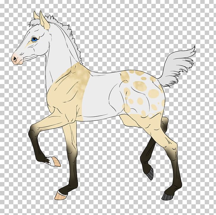 Foal Mustang Stallion Colt Halter PNG, Clipart, Animal Figure, Buttermilk, Character, Colt, Fauna Free PNG Download