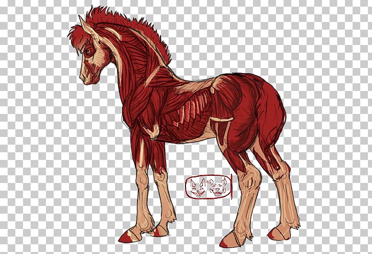 Foal Stallion Mustang Mare Colt PNG, Clipart, Art, Donkey, Fictional Character, Foal, Halter Free PNG Download