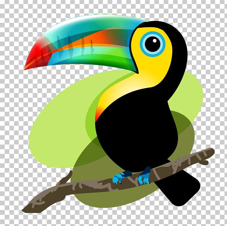 Iquitos Bird Baby Toucan: Mama And Papa Toucan Decide To Adopt Frog PNG, Clipart, Animal, Animals, Animation, Baby, Beak Free PNG Download