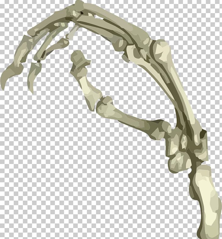 Jaw PNG, Clipart, Art, Design, Jaw, Rapid 3d Mapping, Skeleton Free PNG Download
