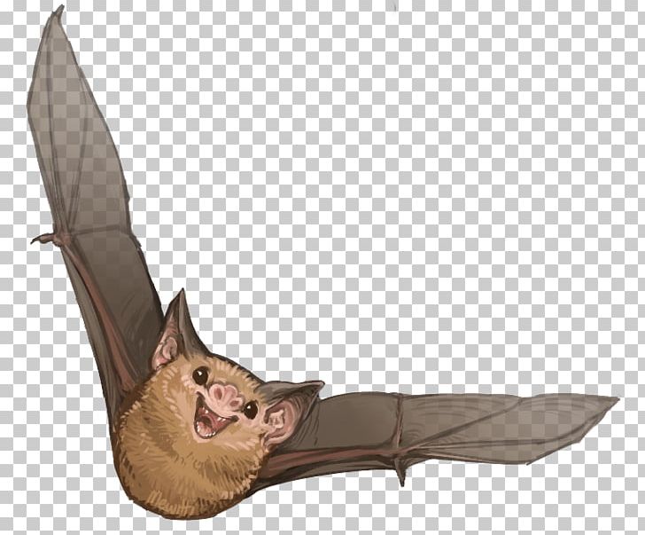 Kitti's Hog-nosed Bat Honduran White Bat Vampire Bat Painted Bat PNG, Clipart, Animal, Animals, Bat, Batty, Common Vampire Bat Free PNG Download