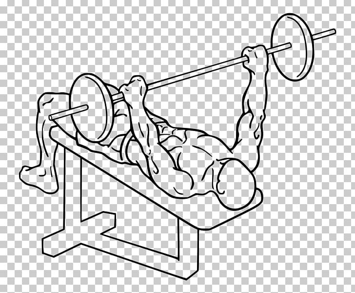 Bench Press Dumbbell Weight Training Barbell PNG, Clipart, Angle, Area, Arm, Art, Auto Part Free PNG Download