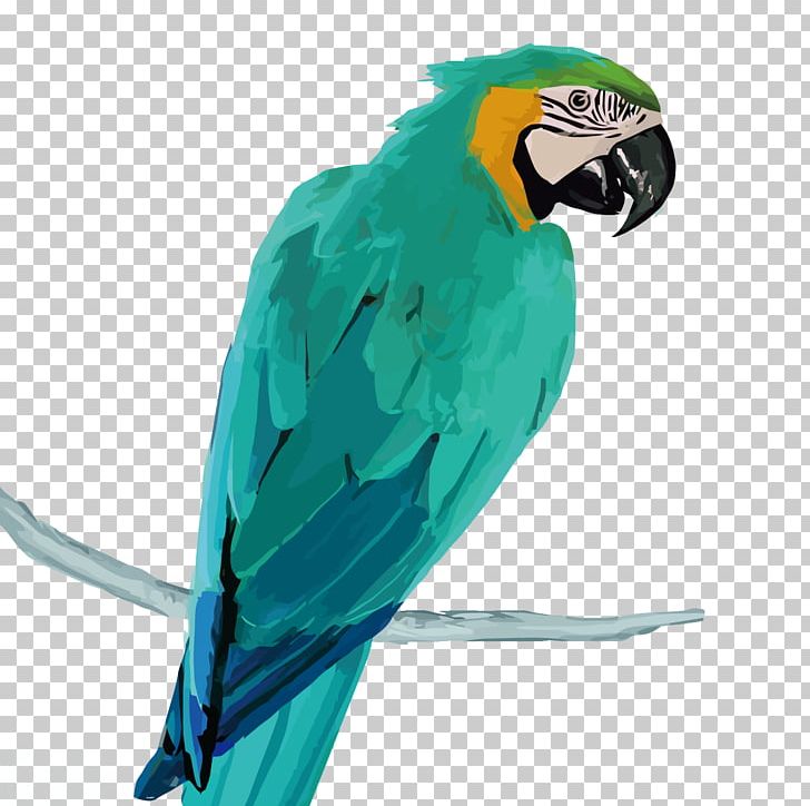 Amazon Parrot Macaw PNG, Clipart, Animals, Beak, Bird, Blue, Common Pet Parakeet Free PNG Download