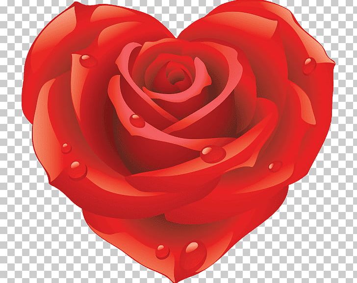 Best Roses Desktop PNG, Clipart, Best Roses, Cut Flowers, Decal, Desktop Wallpaper, Display Resolution Free PNG Download