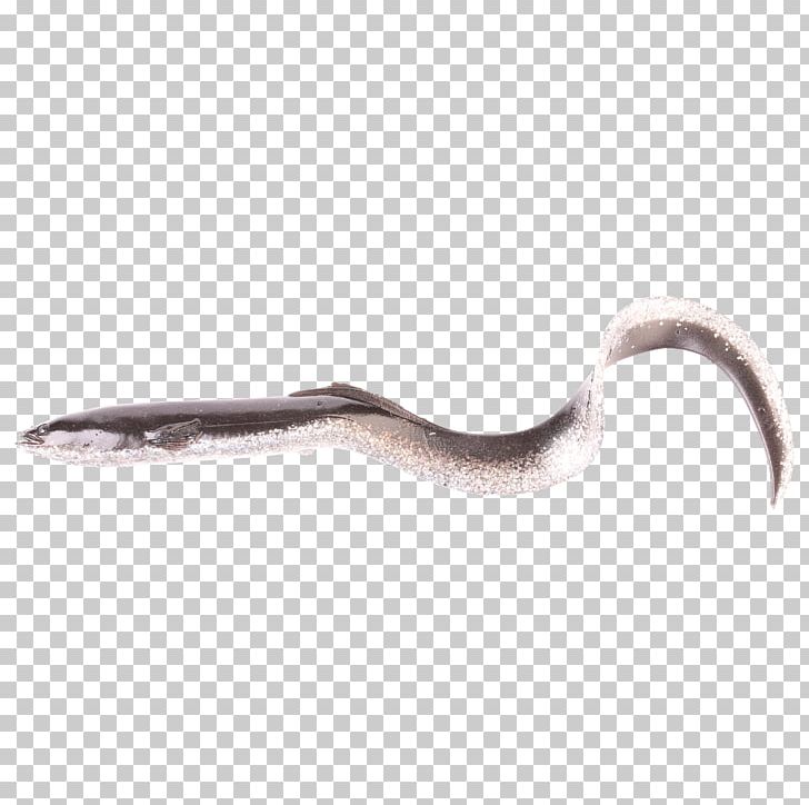 Silver Eel 5G 4G Reptile PNG, Clipart, Biscuits, Eel, Fish, Gear, Jewelry Free PNG Download
