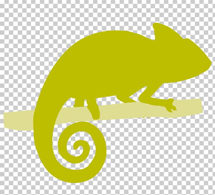 Carnivora Rodent Amphibian Reptile PNG, Clipart, Amphibian, Animals, Carnivora, Carnivoran, Fauna Free PNG Download