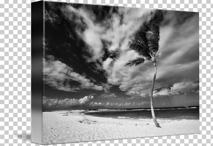 Paper Still Life Photography Frames PNG, Clipart, Cloud, Computer, Computer Wallpaper, Desktop Wallpaper, Landscape Free PNG Download