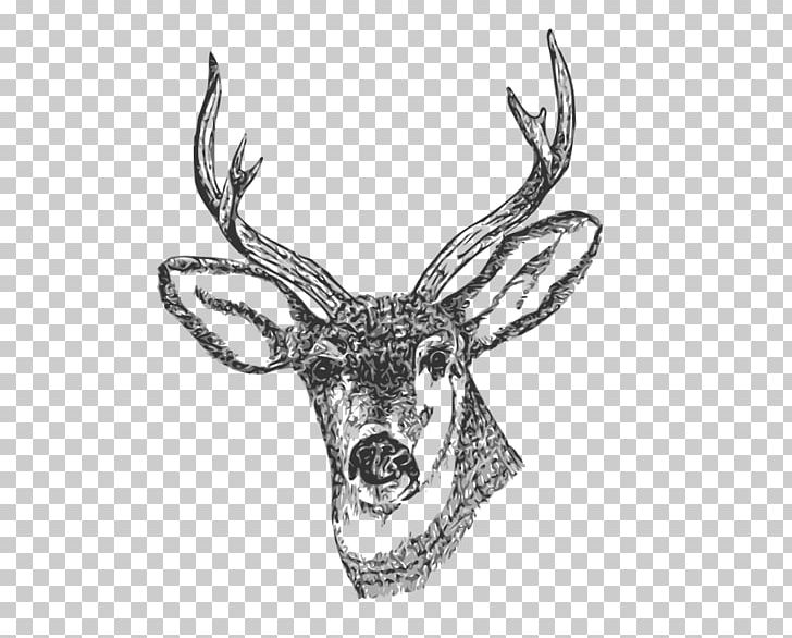 White-tailed Deer Drawing PNG, Clipart, Animals, Antler, Black And White, Body Jewelry, Coloring Book Free PNG Download