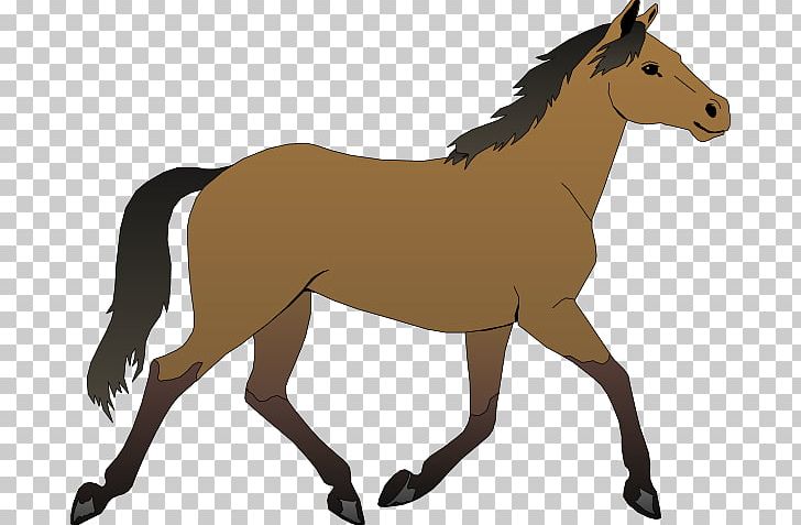 Horse Foal Pony Colt PNG, Clipart, Bay, Black, Colt, Cuteness, Fauna Free PNG Download