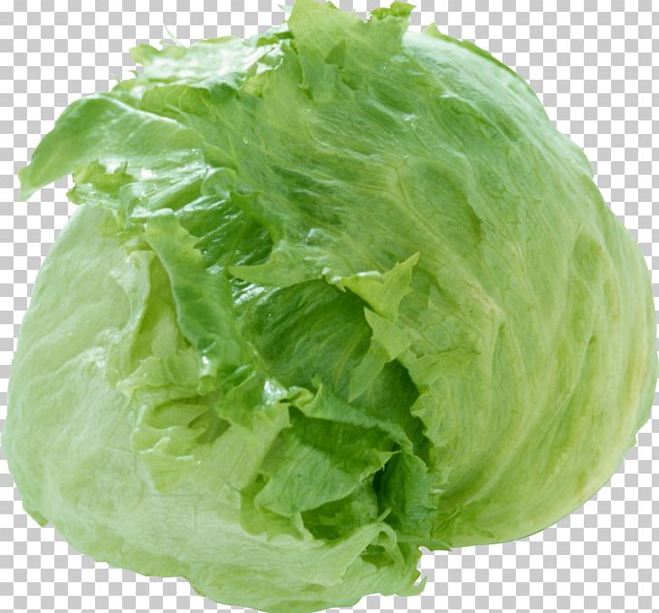 Iceberg Lettuce Cabbage Broccoli Salad Dish PNG, Clipart, Brassica Oleracea, Broccoli, Cabbage, Collard Greens, Cruciferous Vegetables Free PNG Download