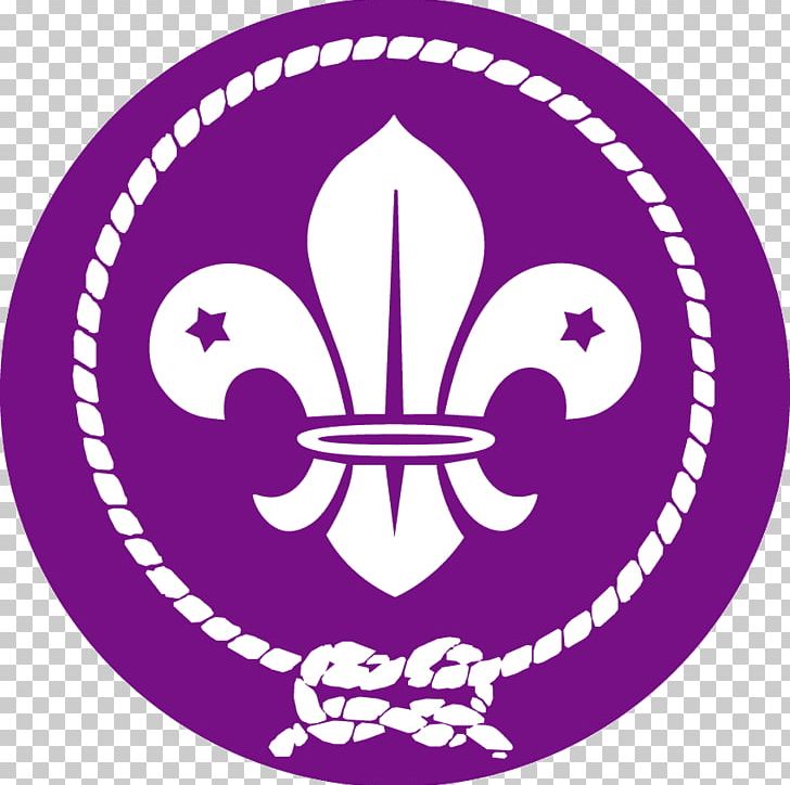 Scouting For Boys World Scout Emblem World Organization Of The Scout Movement Cub Scout PNG, Clipart, Area, Beavers, Boy Scouts Of America, Boys World, Circle Free PNG Download