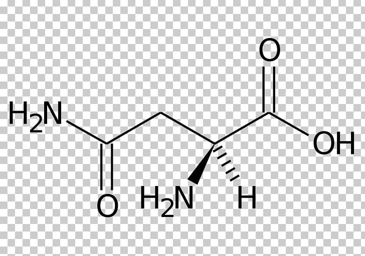 Chemical Formula Asparagine Amino Acid Structural Formula PNG, Clipart, Acid, Amino Acid, Angle, Area, Asparagine Free PNG Download