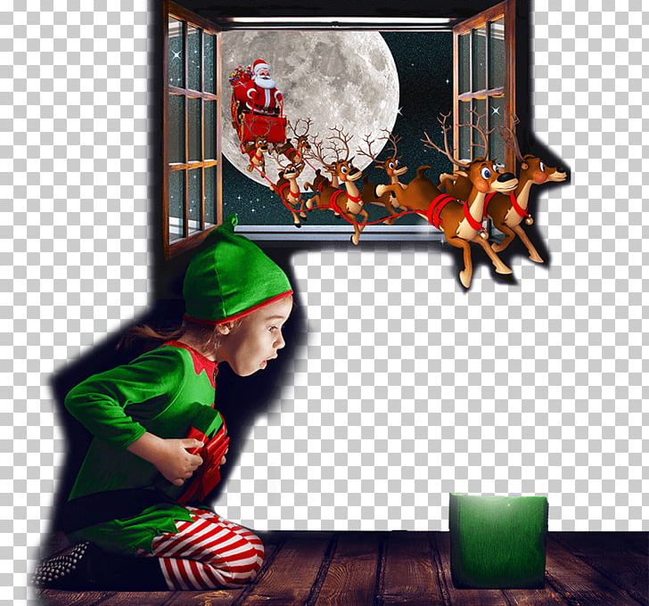 Christmas Ornament Santa Claus Mrs. Claus Christmas Lights PNG, Clipart,  Free PNG Download