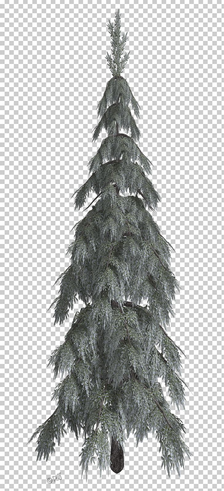 Christmas Tree Spruce Fir Pine PNG, Clipart, 2018, Black And White, Branch, Christmas, Christmas Decoration Free PNG Download
