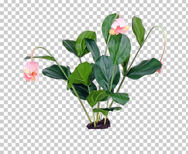 Cut Flowers Floral Design Flowerpot Artificial Flower PNG, Clipart, Artificial Flower, Branch, Cut Flowers, Floral Design, Flower Free PNG Download