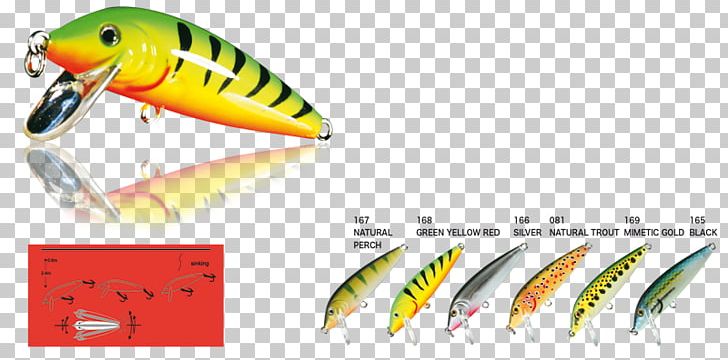 Fishing Baits & Lures Passione Pesca Surface Lure Recreational Fishing Spoon Lure PNG, Clipart, Bait, Bass, Fishing, Fishing Bait, Fishing Baits Lures Free PNG Download