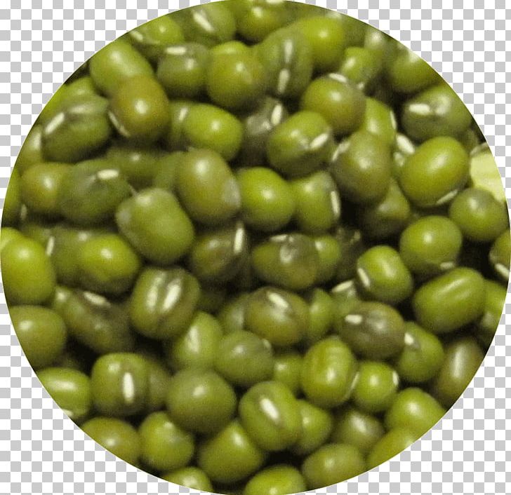 Mung Bean Dal Rajma Khichdi Chana Masala PNG, Clipart, Bean, Blackeyed Pea, Black Gram, Chana Masala, Chickpea Free PNG Download